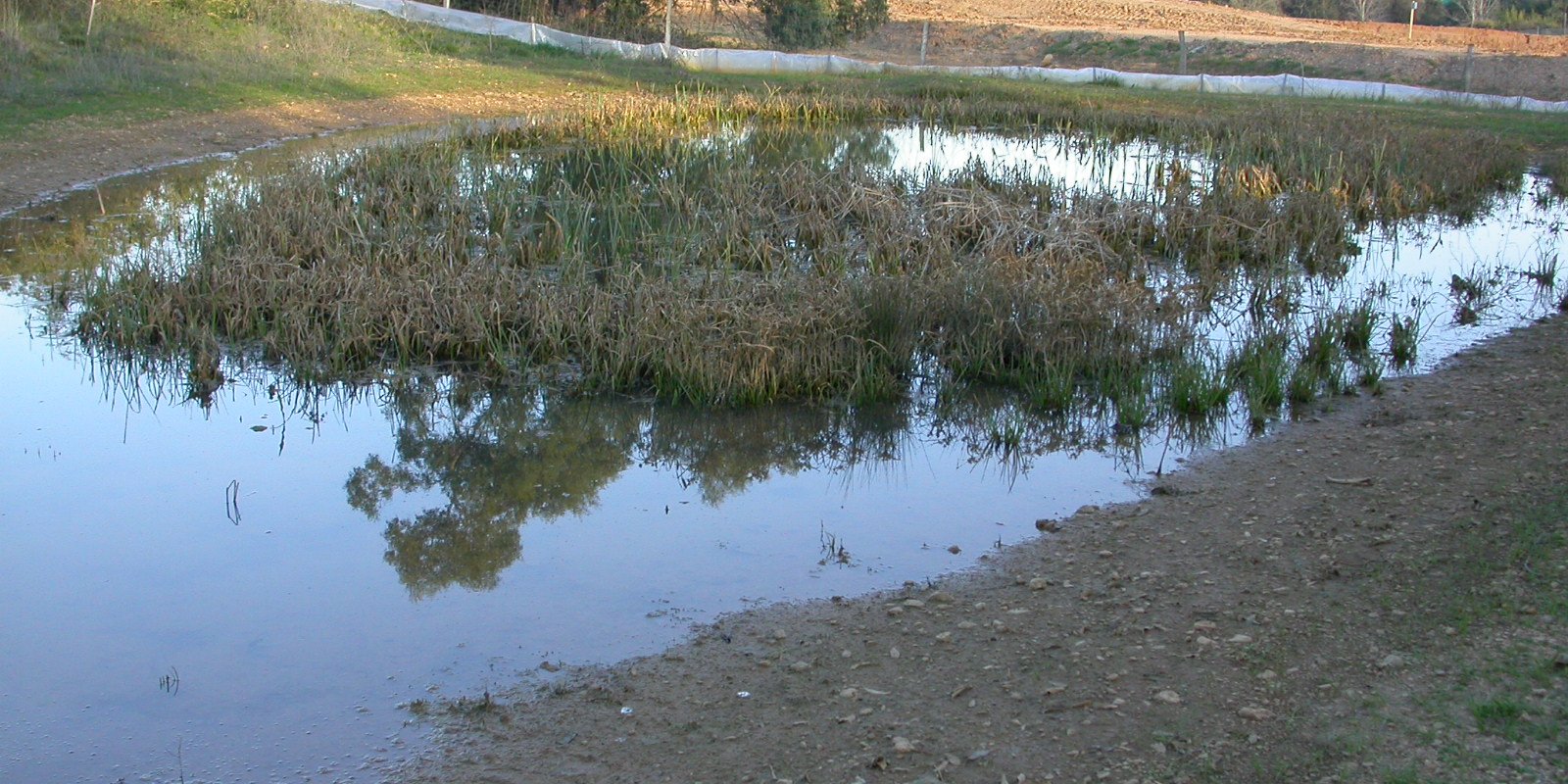 Photo Mare 1 Cantagal