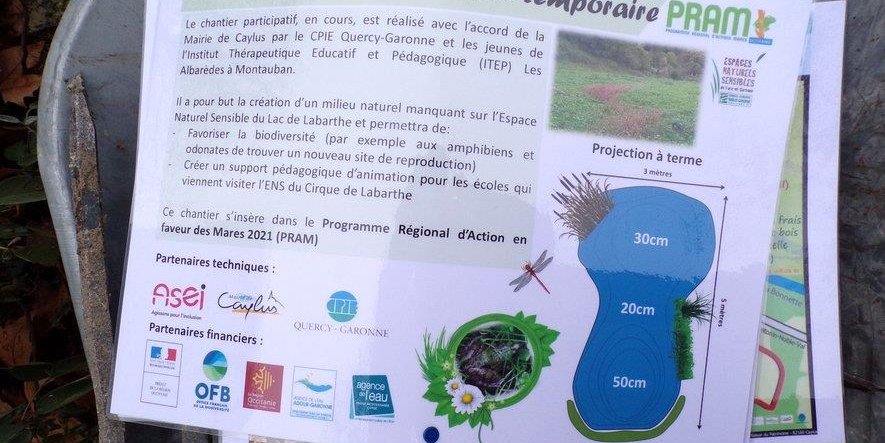 Article de la Dépêche du Midi