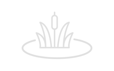 Boîte à outils